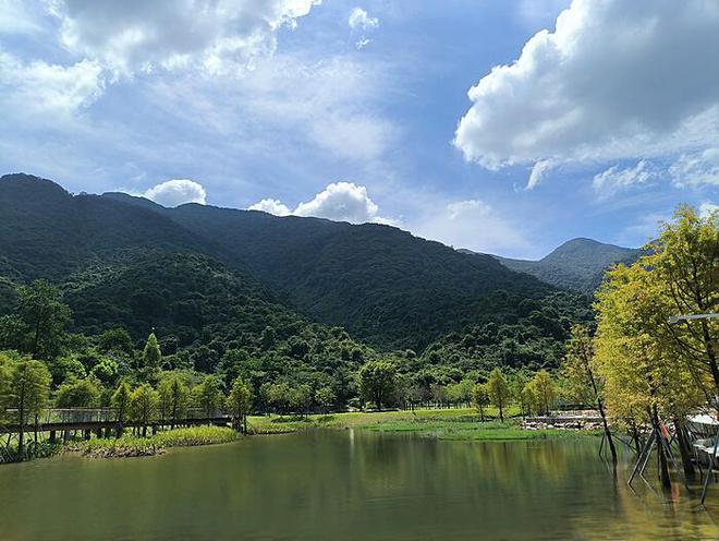 流氓兔如何"入侵"马拉松赛事的疯狂旅程